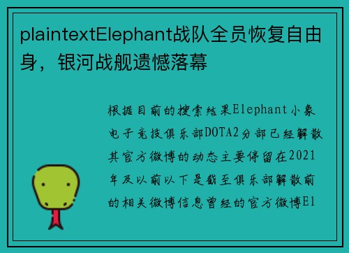 plaintextElephant战队全员恢复自由身，银河战舰遗憾落幕