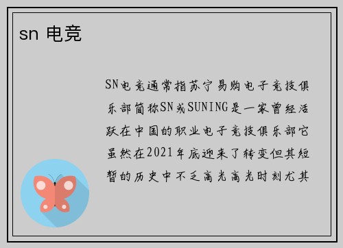 sn 电竞
